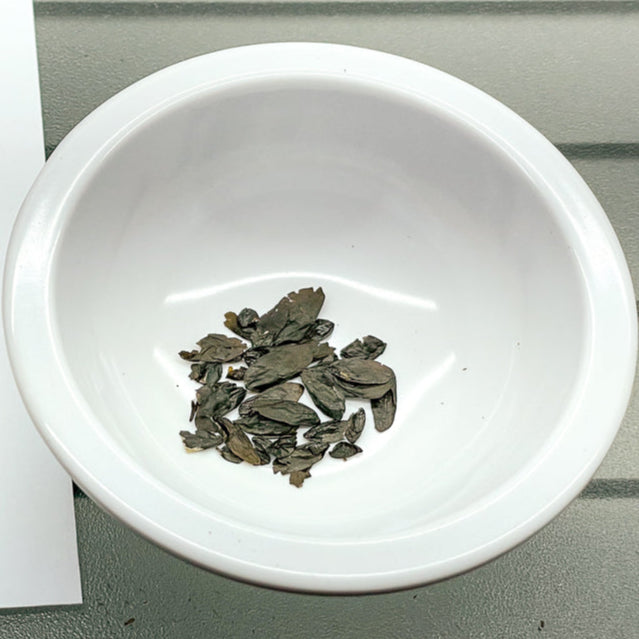 Yellow Mouse Ears Hosta Seeds (Hosta Mouse Ears)